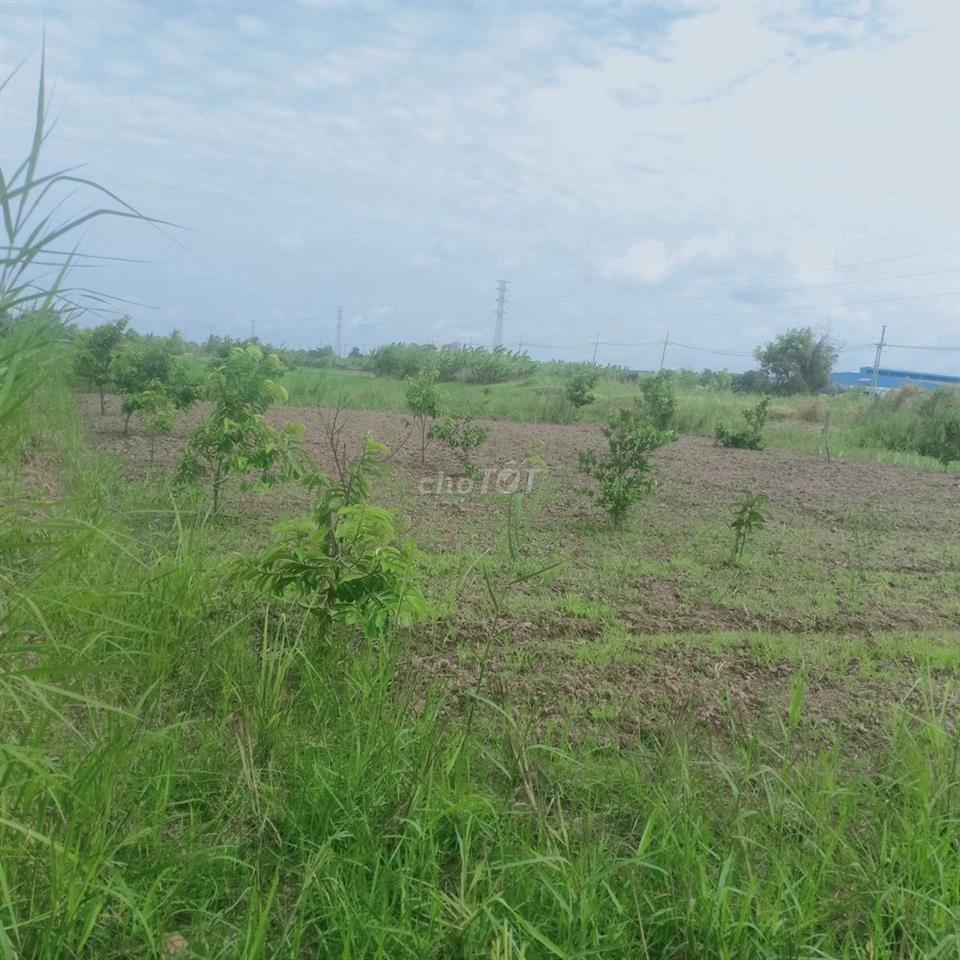 Bán 4543 m vuông đất   Dự án mở rộng TP Rạch Giá 