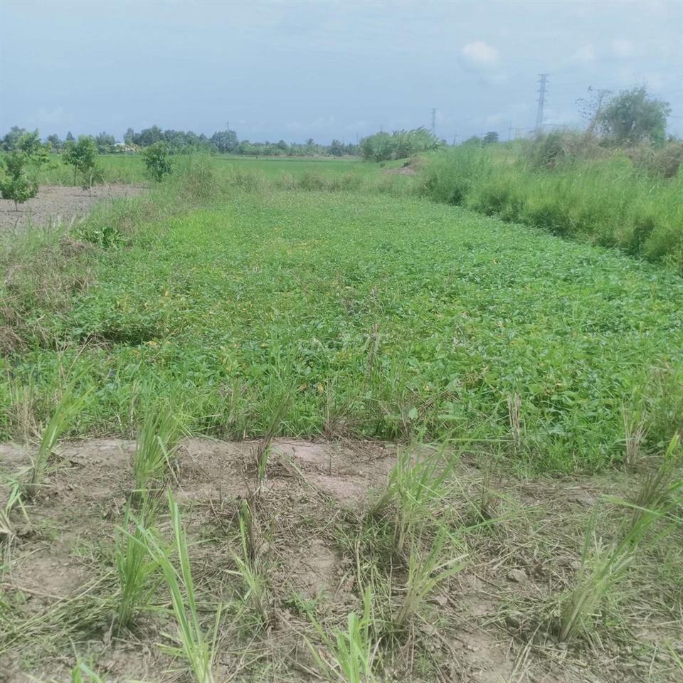 Bán 4543 m vuông đất   Dự án mở rộng TP Rạch Giá 