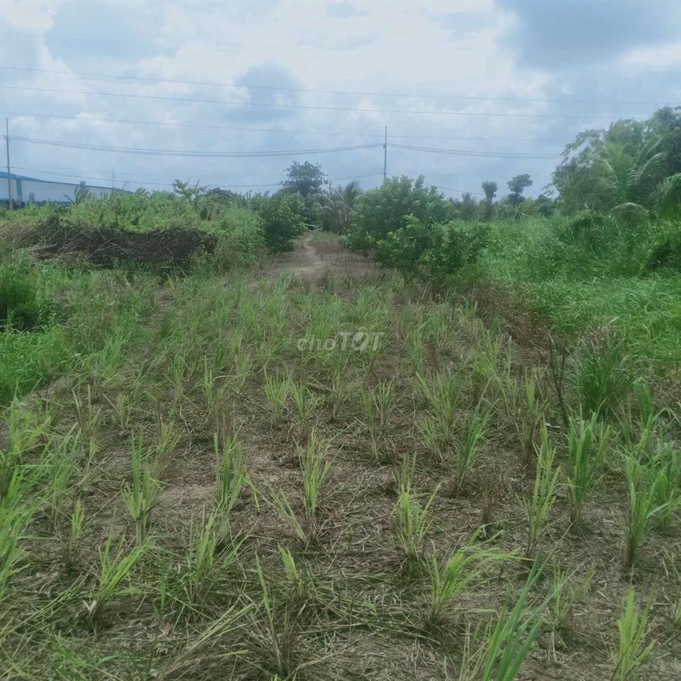 Bán 4543 m vuông đất   Dự án mở rộng TP Rạch Giá 
