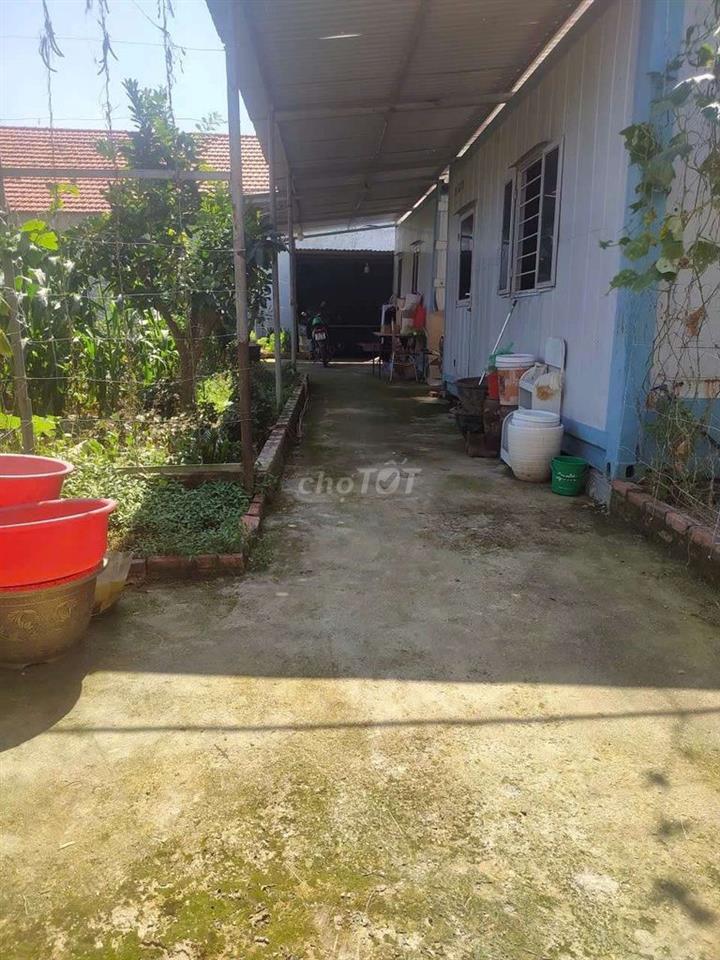 CHÍNH CHỦ BÁN LÔ ĐẤT ĐẸP NỞ HẬU – HÀ KHẨU,