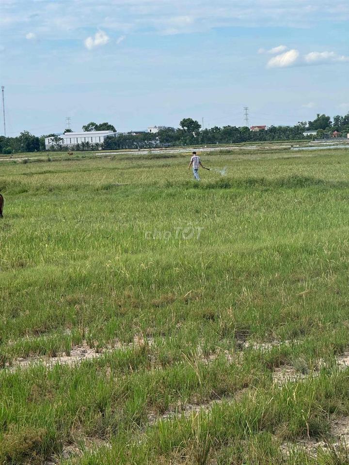 dự án đất SXKD