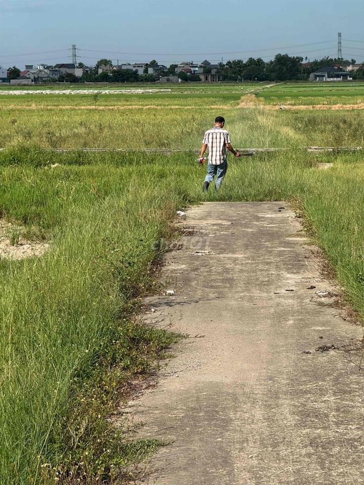 dự án đất SXKD