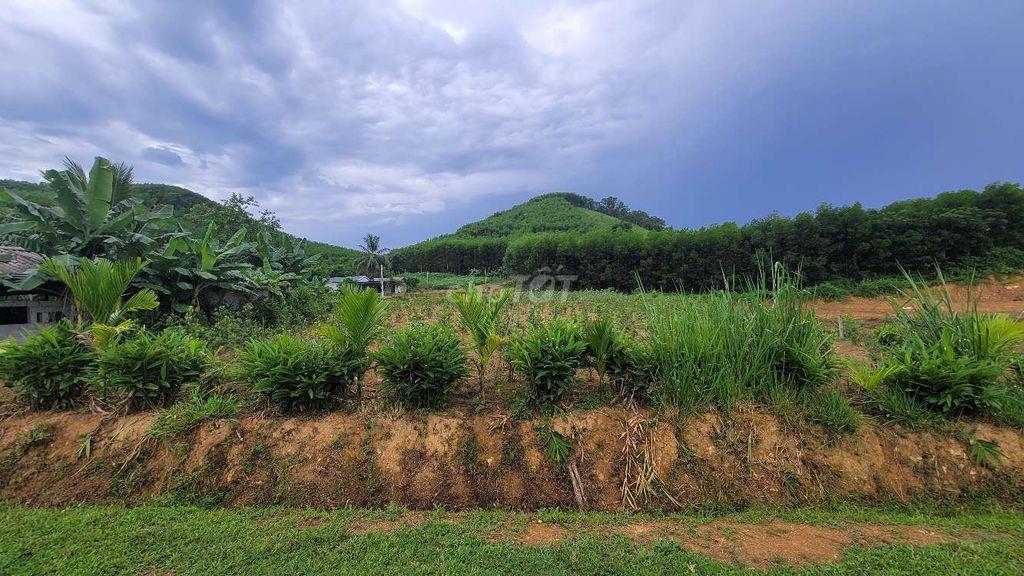 đất thổ cư dân bán