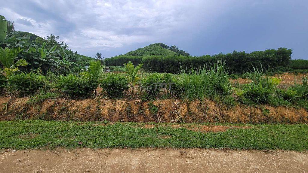 đất thổ cư dân bán