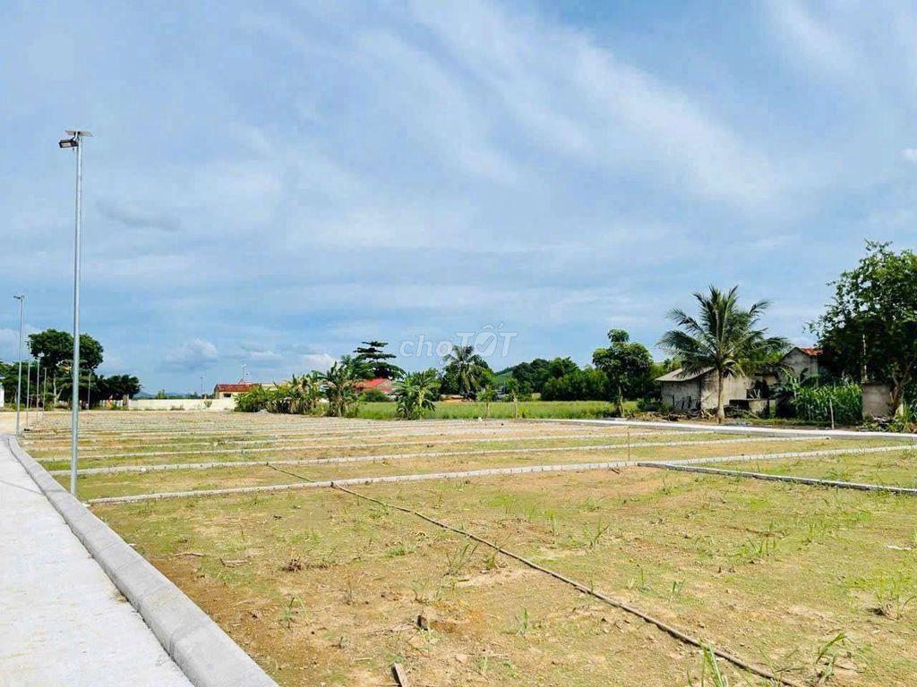 Đất nền Thanh Hóa T5/2026