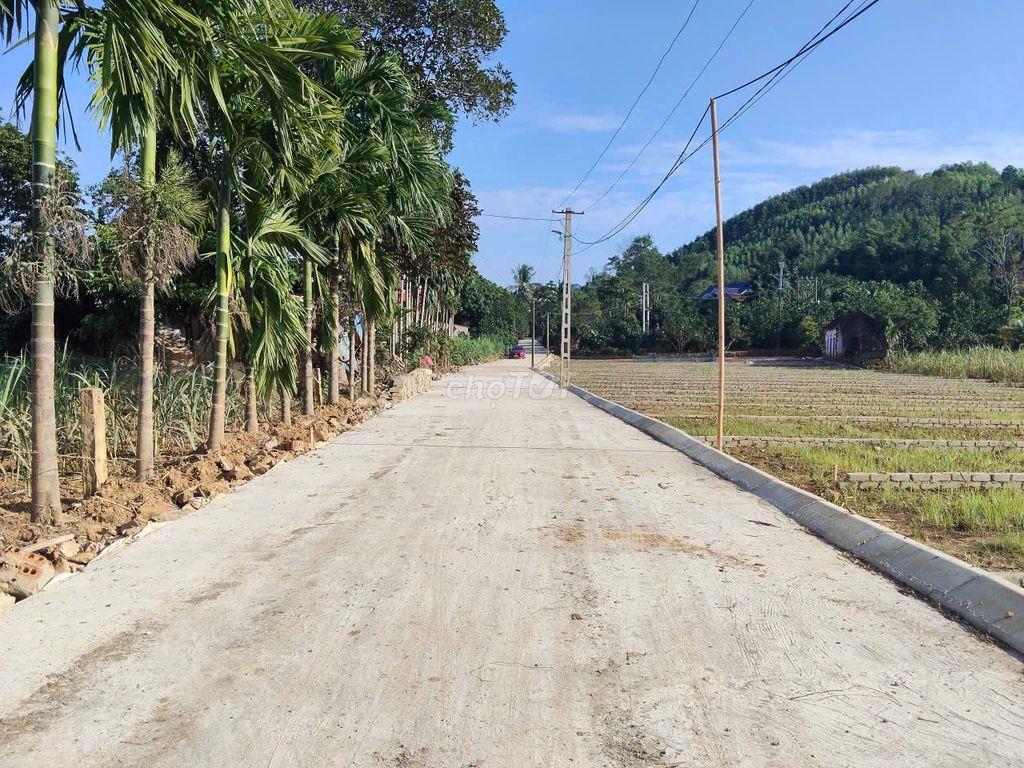 Đất thổ cư Thạch Thành siêu rẻ