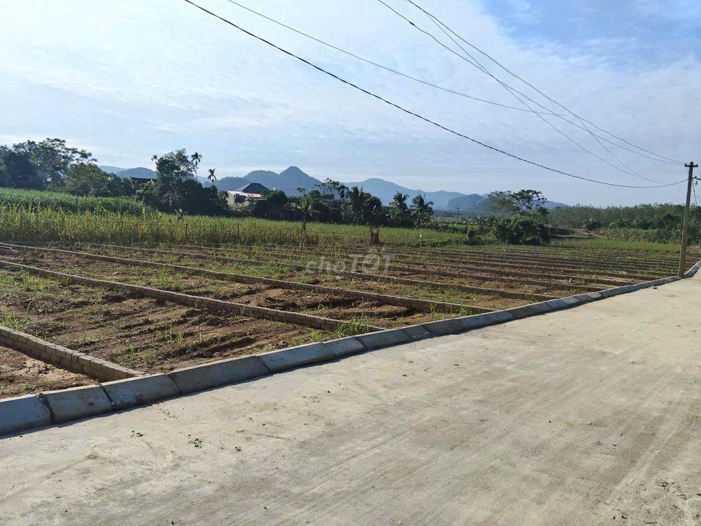 Đất thổ cư Thạch Thành siêu rẻ