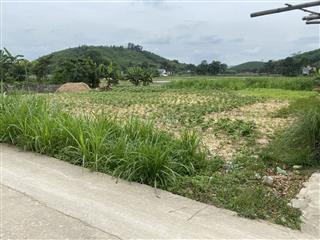 Chủ nhà bán gấp 1200,5m2 full thổ cư Triệu Sơn Thanh Hóa giảm giá sâu 