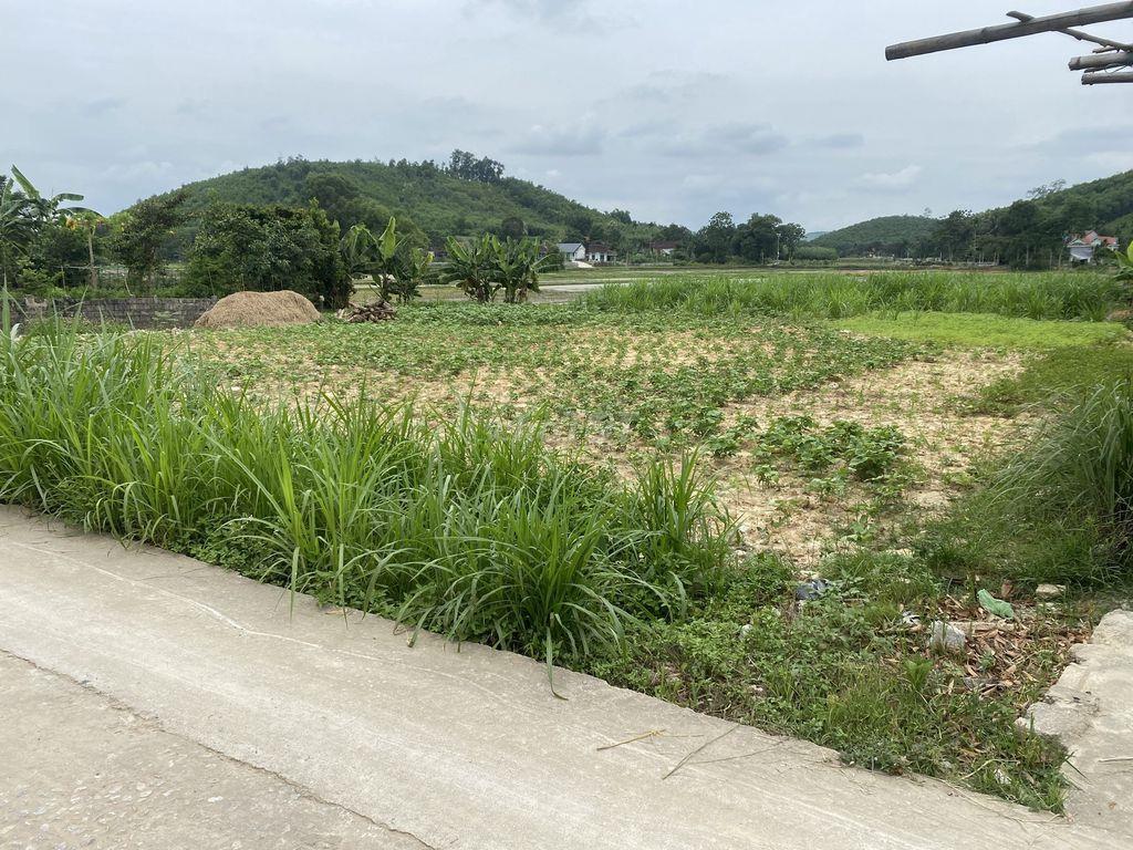 Chủ nhà bán gấp 1200,5m2 full thổ cư Triệu Sơn Thanh Hóa giảm giá sâu 
