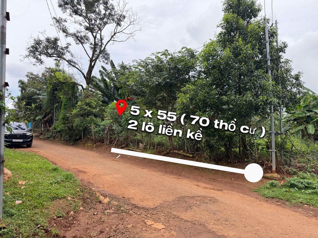 Đất Đồi Thông 5x55m , Vị trí đẹp , Gần Cầu