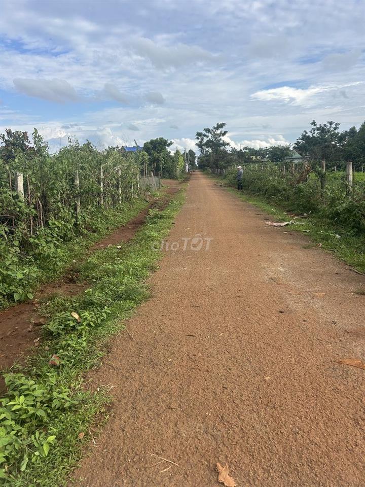 Cần bán 1790m2 đã có 200 thổ cư