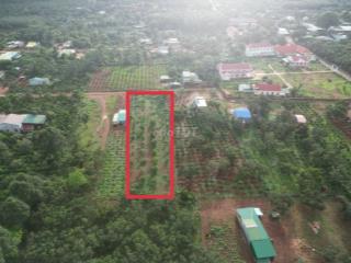 Cần bán 1790m2 đã có 200 thổ cư