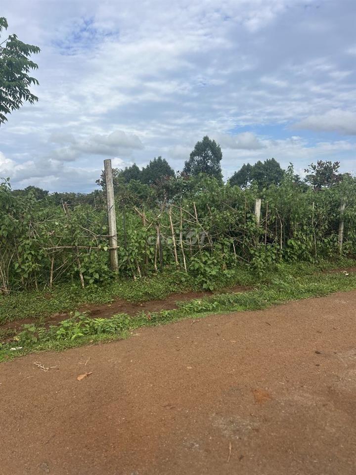 Cần bán 1790m2 đã có 200 thổ cư