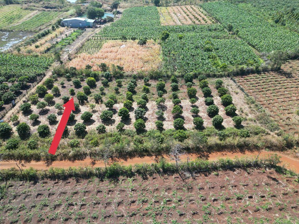 Cần bán lô đất 2100m2 đã có 400 thổ cư