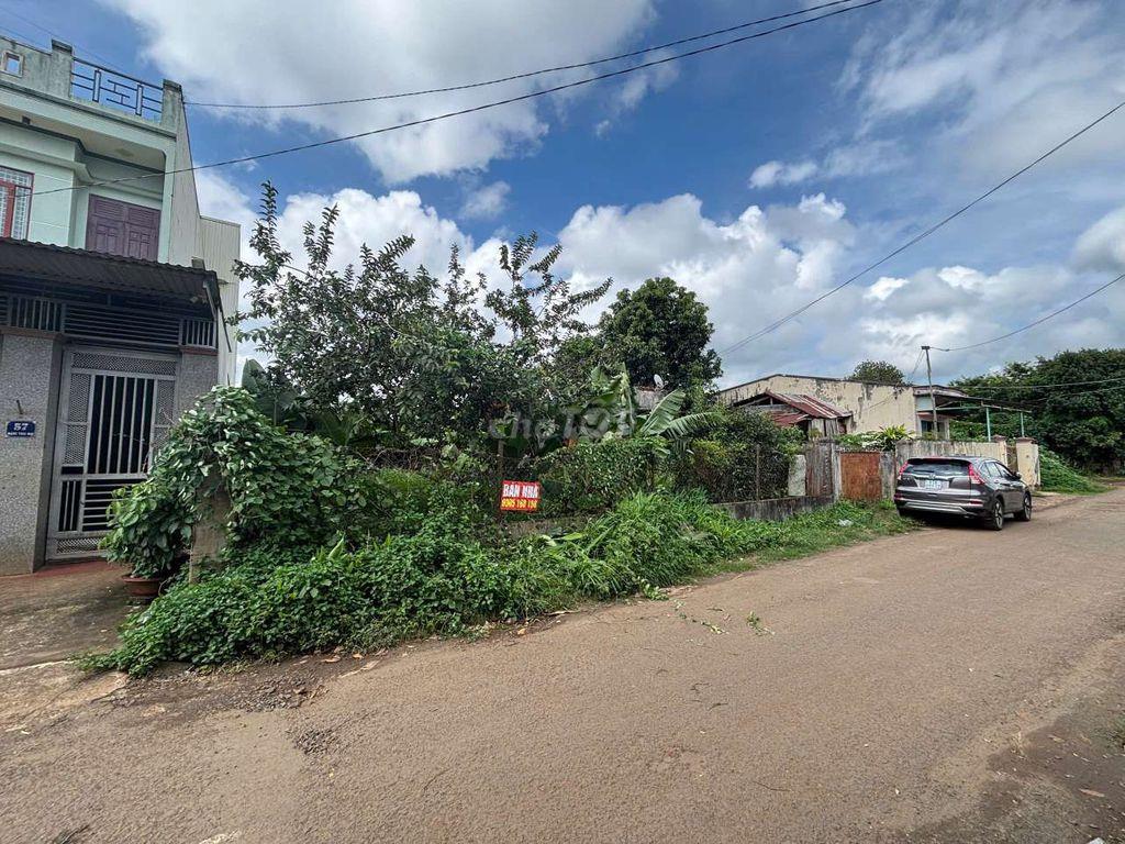 Bán đất MT Đặng Thái Mai, TP Pleiku