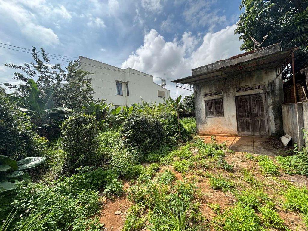 Bán đất MT Đặng Thái Mai, TP Pleiku