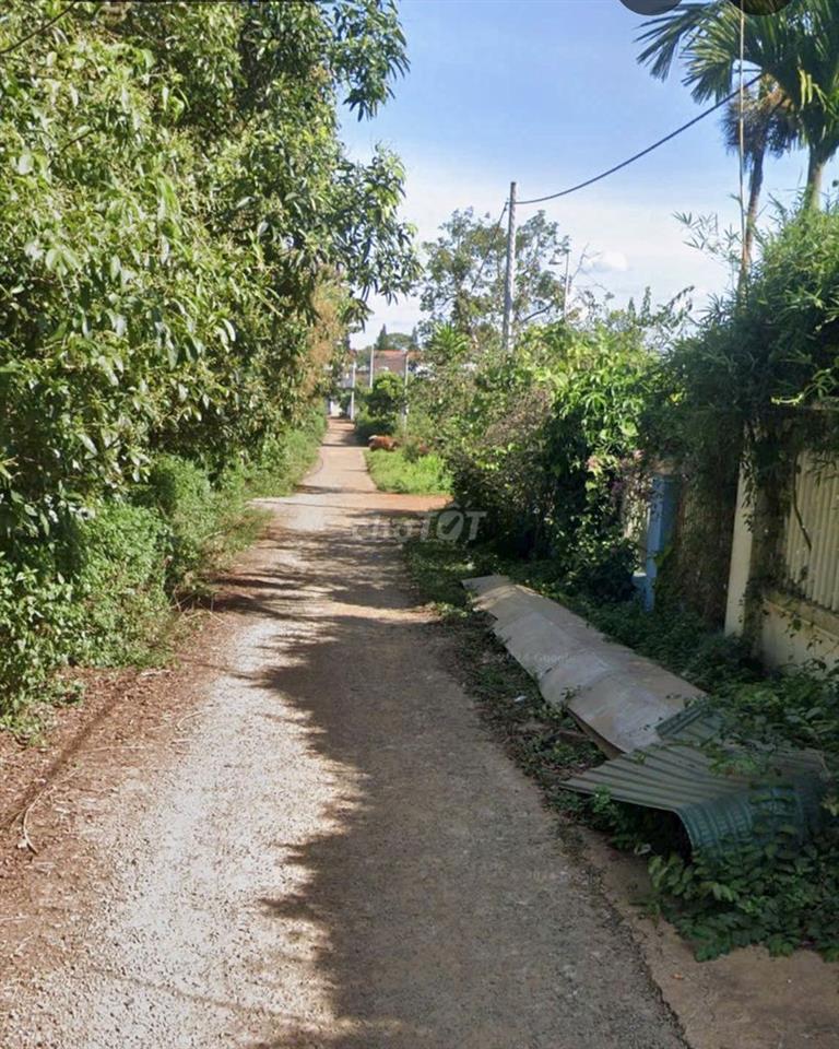 👉 KHO BÊN EM SẴN 200 NHÀ ĐẸP PLEIKU 🛣 hẻm 36 KÝ CON 