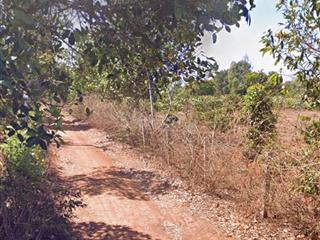 Chính chủ bán lô đất 70x50m giá 40tr/m ngang, vị trí đẹp tiềm năng