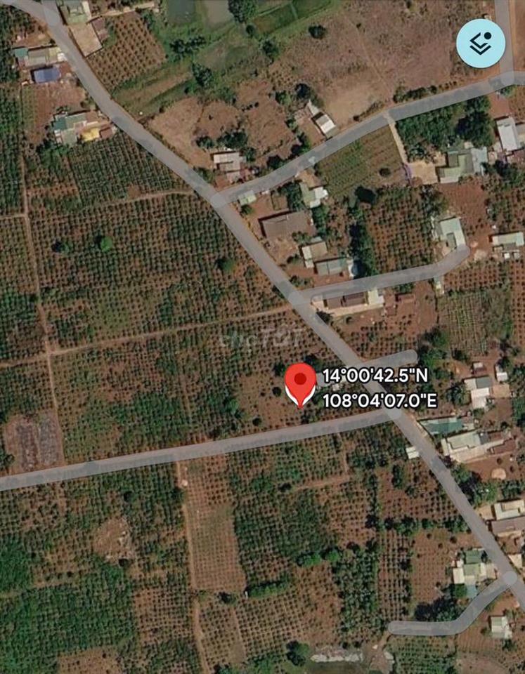 Sổ Đỏ 450m² Thổ Cư Gia Lai: Tách 3 Lô, Chỉ Hơn 900Tr/Lô