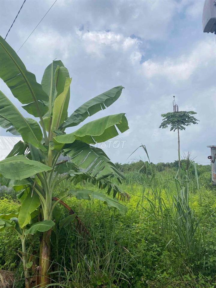 đất ở sông trầu 25