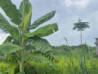 đất ở sông trầu 25