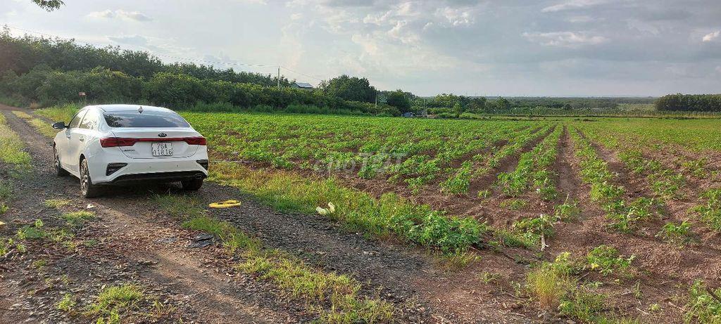 Bán đất sào 1014m2 giá rẻ 179tr tại Lộc Tấn, Đồng Nai.