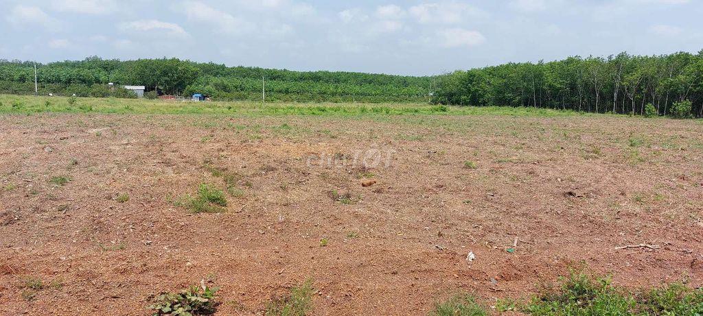 Bán đất sào 1014m2 giá rẻ 179tr tại Lộc Tấn, Đồng Nai.