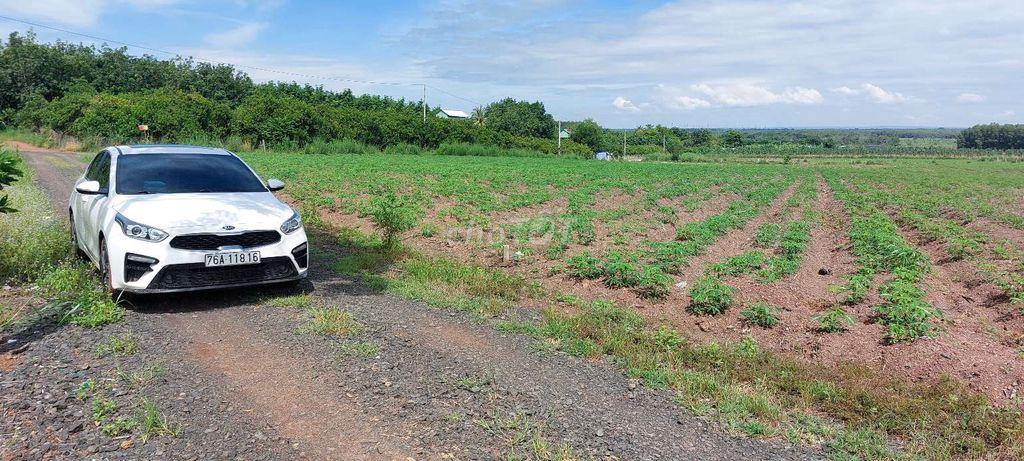 Bán đất sào 1014m2 giá rẻ 179tr tại Lộc Tấn, Đồng Nai.