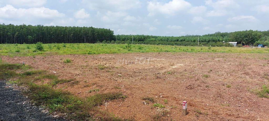 Bán đất sào 1014m2 giá rẻ 179tr tại Lộc Tấn, Đồng Nai.