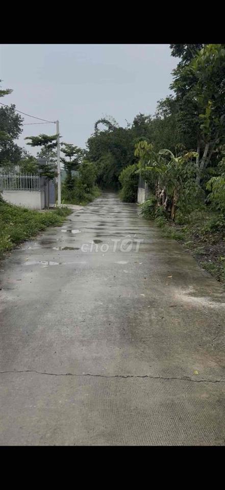 Đất phường Minh long ngay chợ đường thông chính chủ