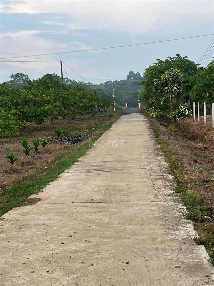 đất sào  đồng tâm TP Đồng nai mặt tiền 18m gần quốc lộ 14