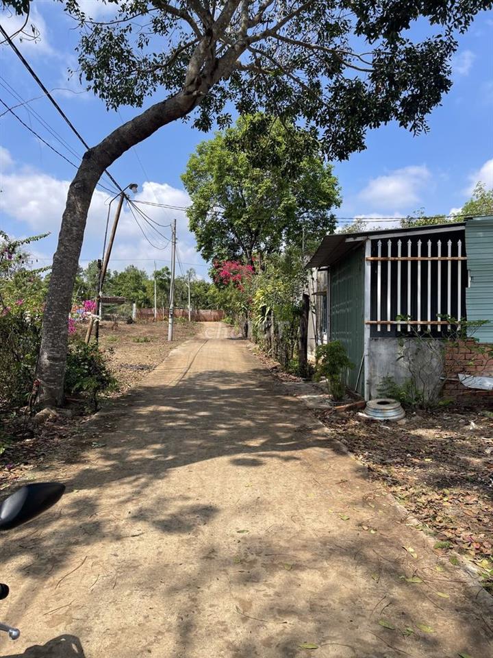 Cần bán nhanh đất 136,6m² gần QL13, 50m² thổ cư, 530tr