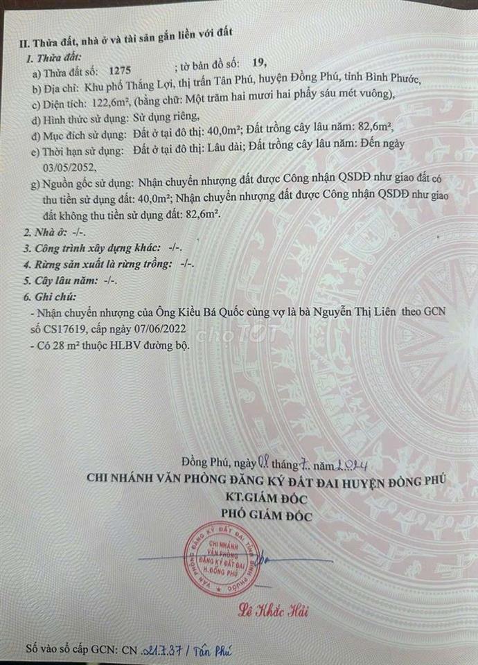 Đất rẻ như cho