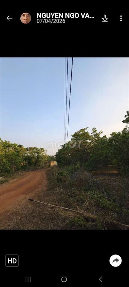 Bán đất vườn