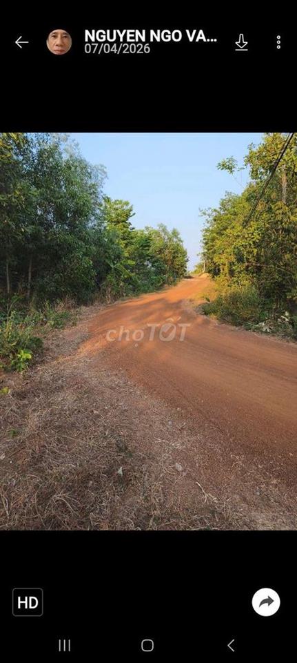 Bán đất vườn