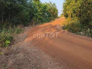 Bán đất vườn