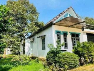 bán vườn ăn trái có nhà cấp 4 trên đất 500m2