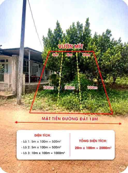 Chính chủ bán vườn mít hơn 2.000m² sát QL13, gần KCN Chơn Thành