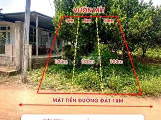 Chính chủ bán vườn mít hơn 2.000m² sát QL13, gần KCN Chơn Thành
