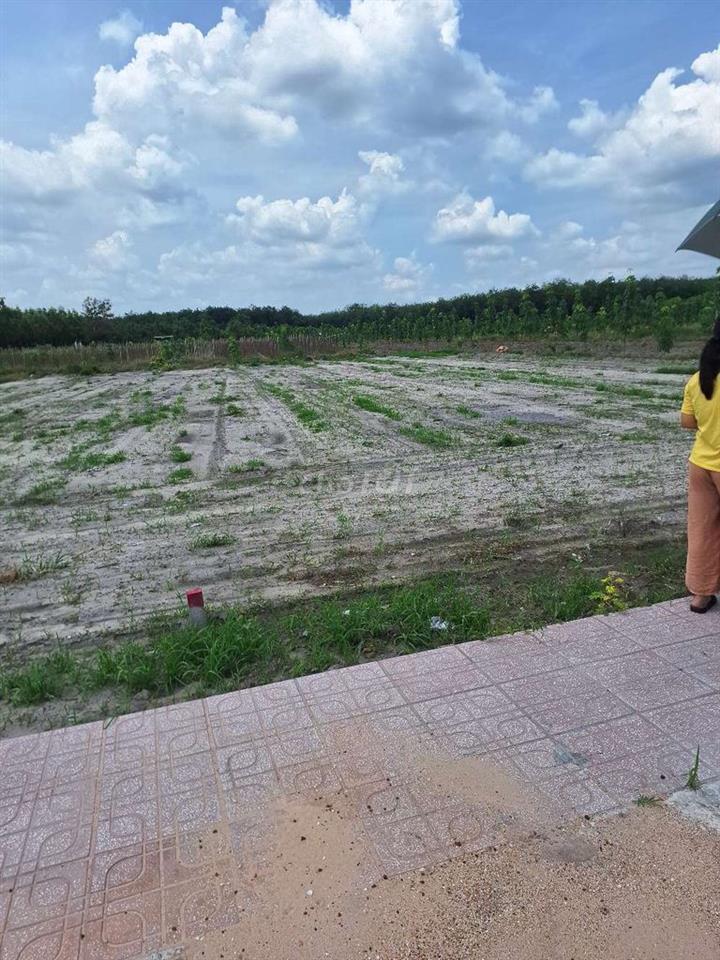 bán đất chính chủ 