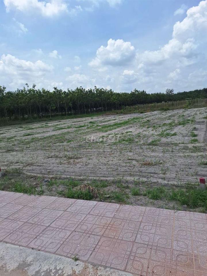 bán đất chính chủ 