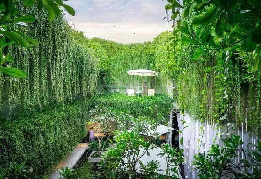 Chính Chủ Bán Homestay Nghỉ Dưỡng
