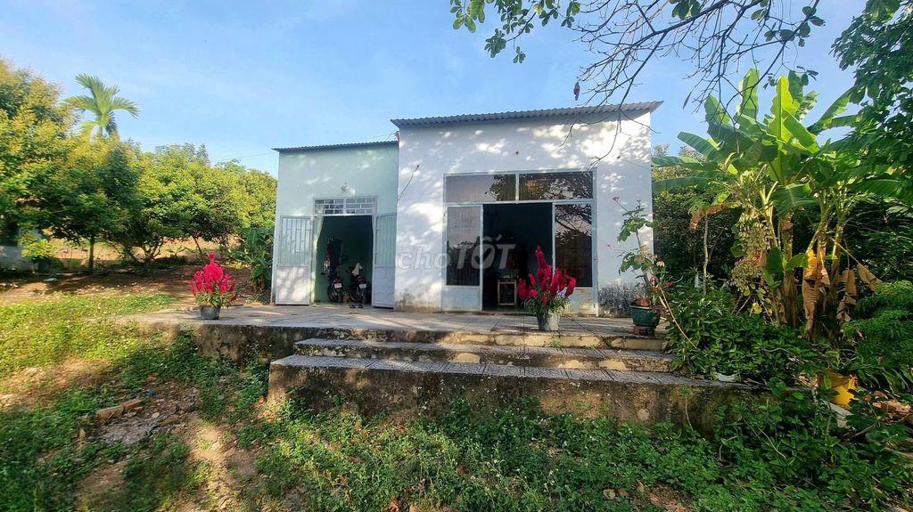 CHÍNH CHỦ BÁN NHÀ VƯỜN 1,1 HA - MẶT TIỀN 107M - SỬ DỤNG ĐA MỤC ĐÍCH