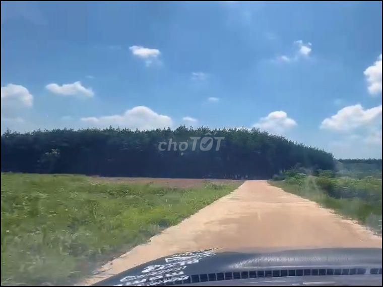 Cần bán gấp, giá có thể thương lượng 