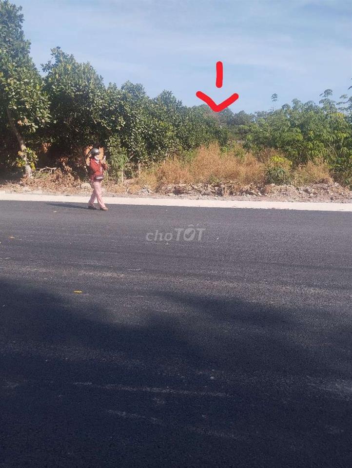 Bán đất bình phước cũ 