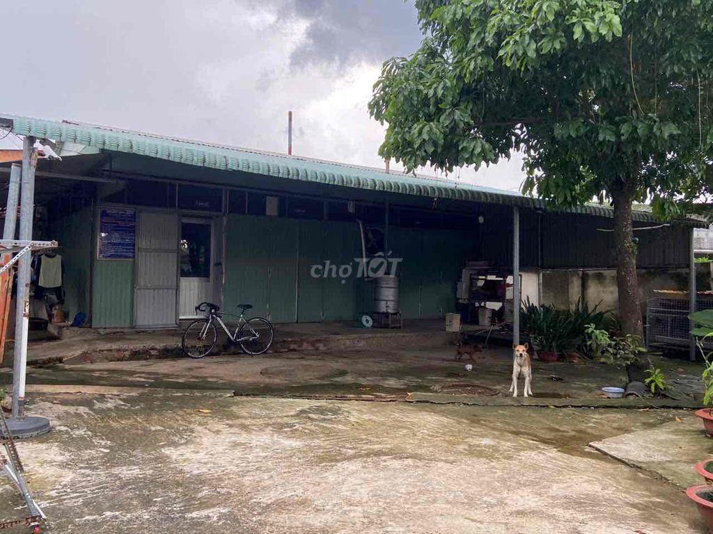 đất ở trung tâm thành phố đồng nai mới