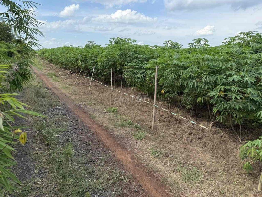 Tôi cần bán lô đất nền 1080m2