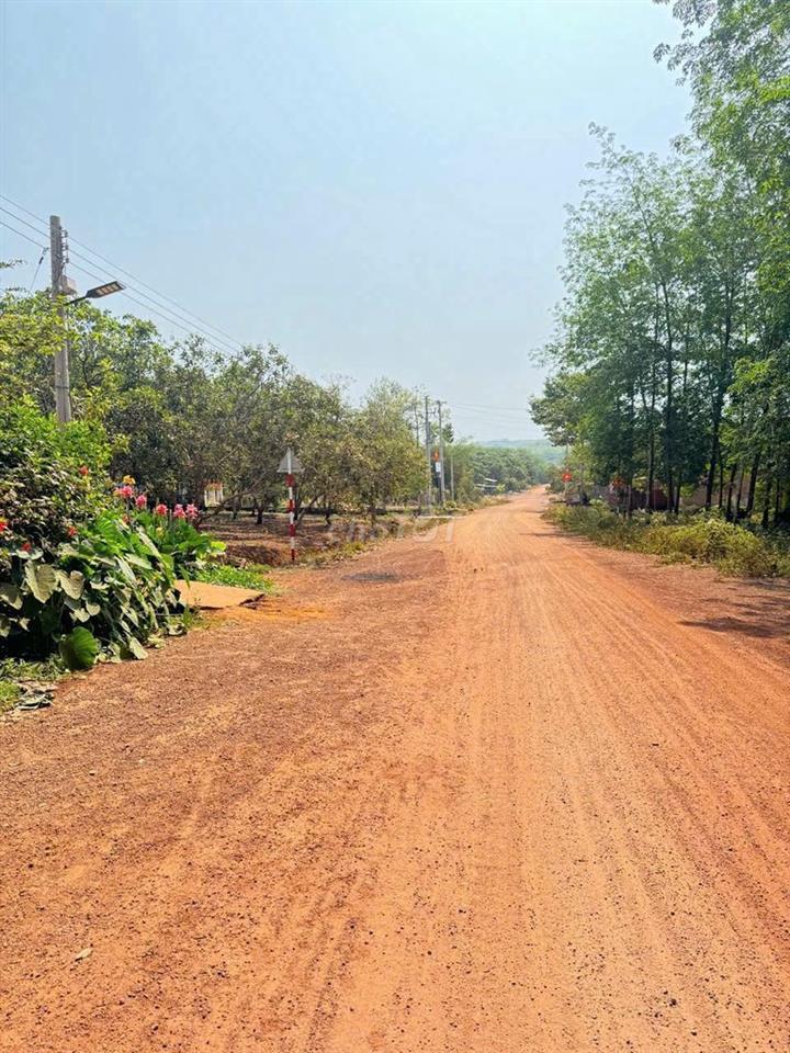 Chủ ký gửi thu hồi vốn trả ngân hàng lô đất 200m giá 450trieu