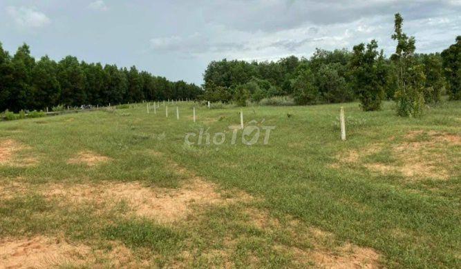 Bán Đất CLN Có Thể Lên SKC Tại Tân Phú Đồng Phú Bình Phước (Đồng Nai)