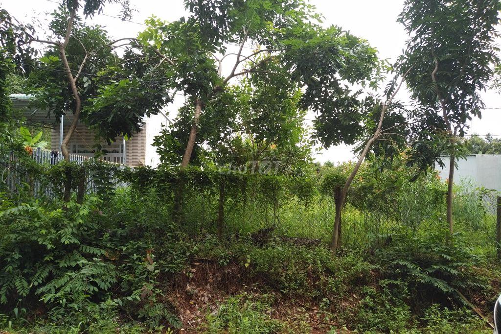 CHÍNH CHỦ BÁN ĐẤT THỔ CƯ TRUNG TÂM P.BÌNH LONG